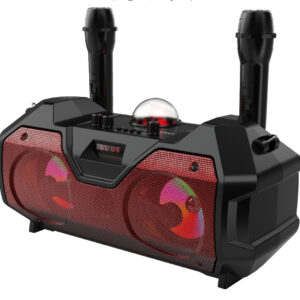Microphone Dual Microphone Bluetooth Speaker
