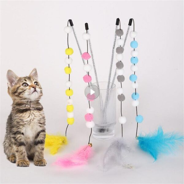 Cats Toys