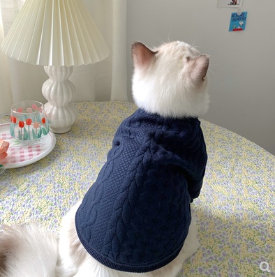 Warm And Cute Clothes For Pets Feet - Image 4