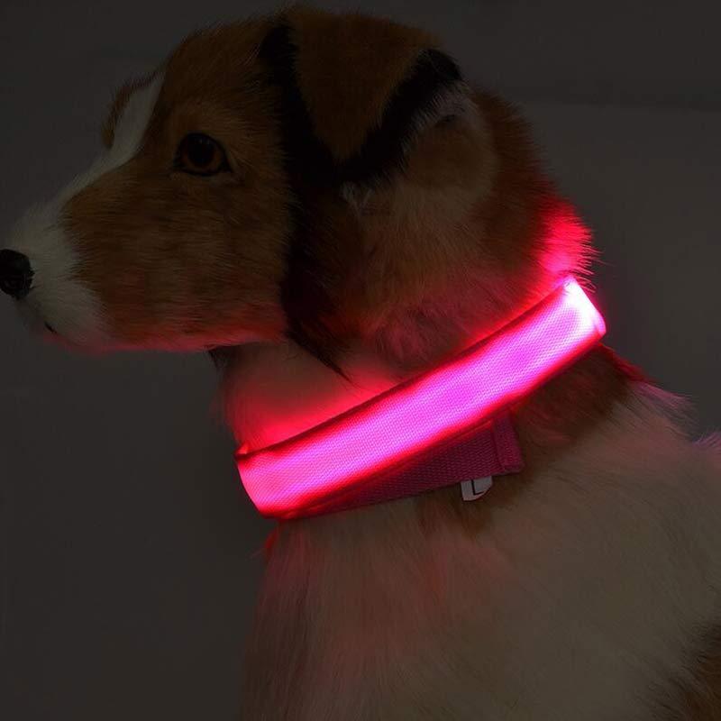 Nylon LED Pet Dog Luminous Collar Night Safety Flashing Glow in Dark Dog Cat Leash Adjustable Pet Supplies - Image 4