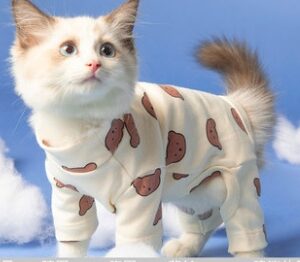 Clothes Ins Puppet Cat British Short Cat Cat Anti-hair Shed Four-legged Clothing Hairless