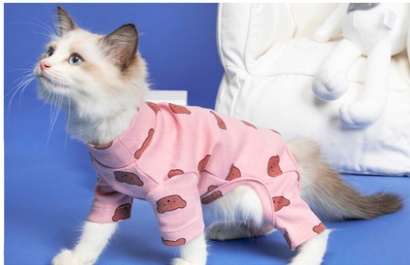 Clothes Ins Puppet Cat British Short Cat Cat Anti-hair Shed Four-legged Clothing Hairless - Image 4