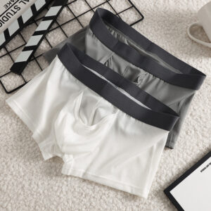 Men's Ice Silk Boxer Mesh Breathable Underwear