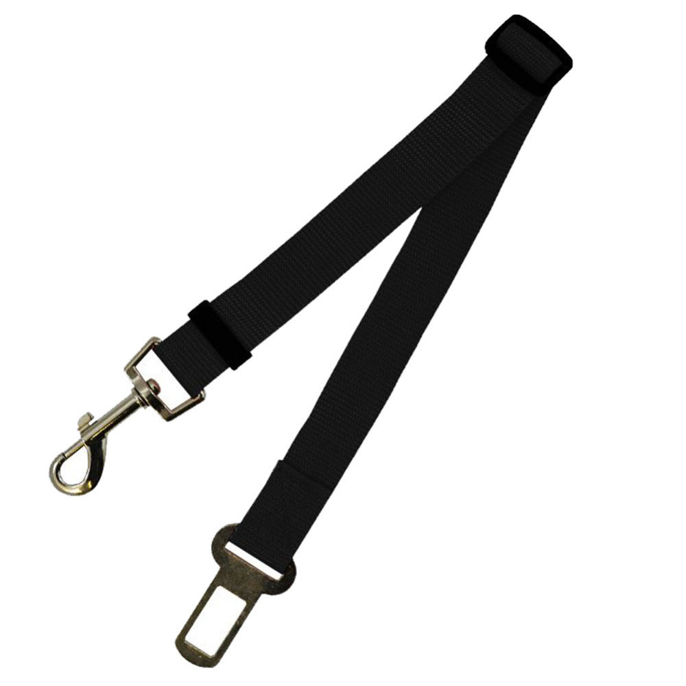 Fixed Strap Polyester Dog Strap Dog Leash Dog Leash - Image 8