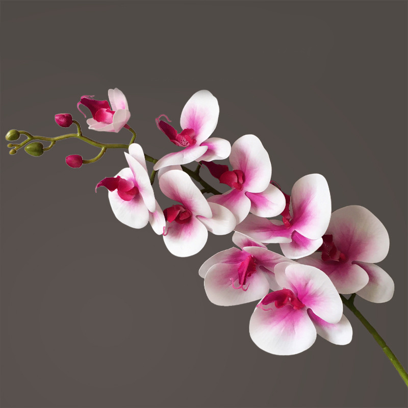 Artificial Flower Film Phalaenopsis Nine Heads Single Branch Artificial Flower Feel Chinese Home Living Room Decoration Flower Arrangement - Image 3