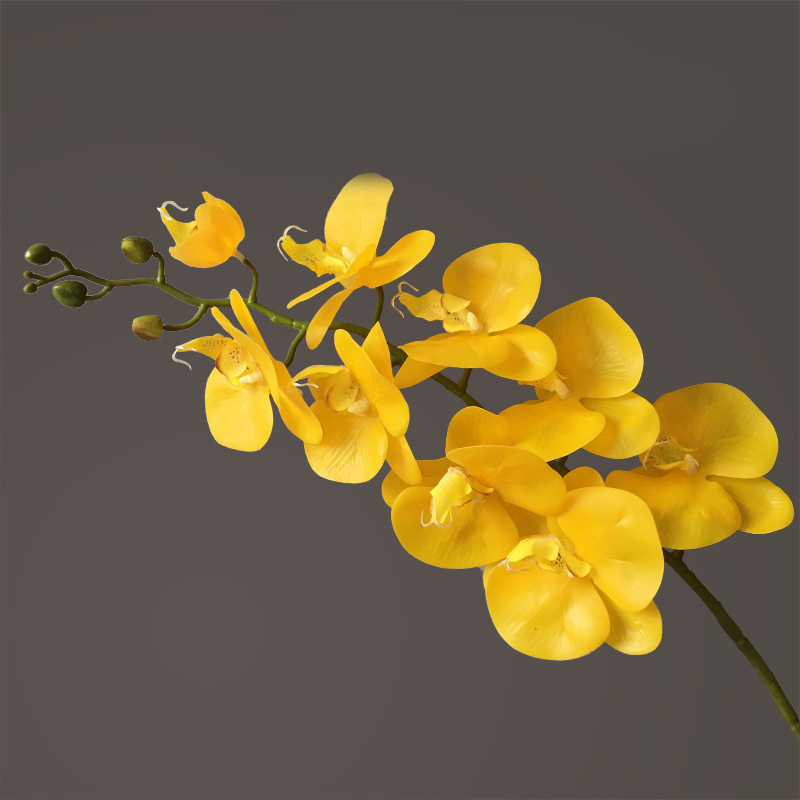 Artificial Flower Film Phalaenopsis Nine Heads Single Branch Artificial Flower Feel Chinese Home Living Room Decoration Flower Arrangement - Image 8