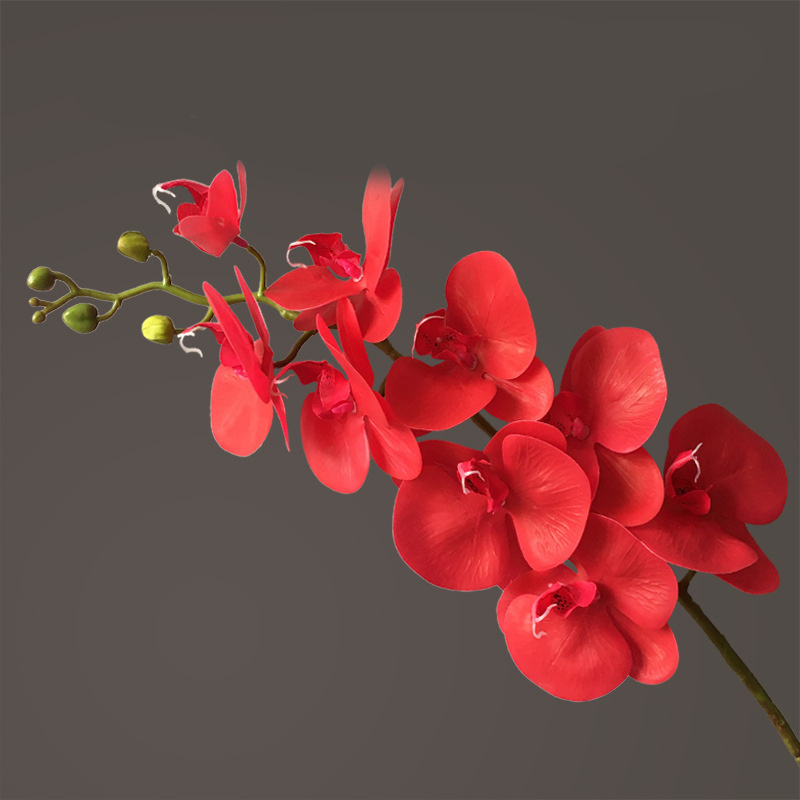 Artificial Flower Film Phalaenopsis Nine Heads Single Branch Artificial Flower Feel Chinese Home Living Room Decoration Flower Arrangement - Image 5