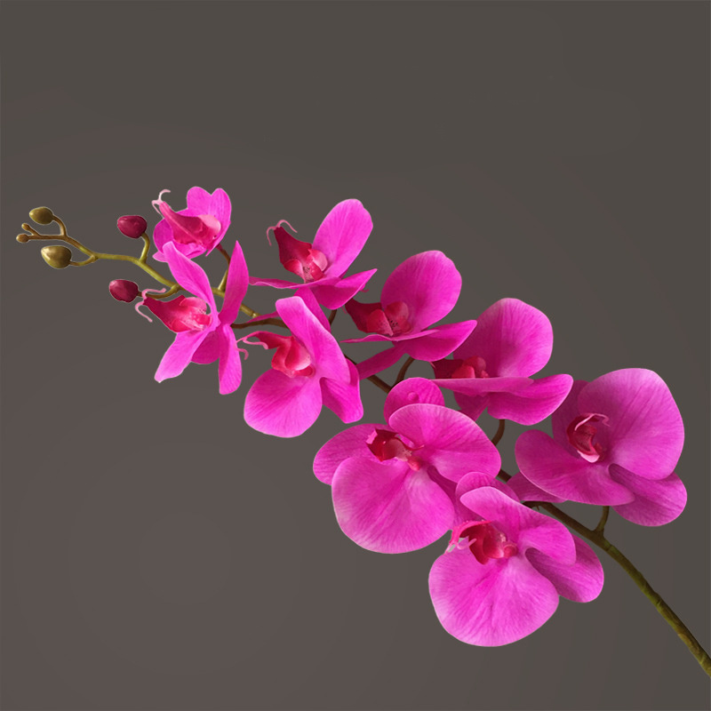 Artificial Flower Film Phalaenopsis Nine Heads Single Branch Artificial Flower Feel Chinese Home Living Room Decoration Flower Arrangement - Image 10