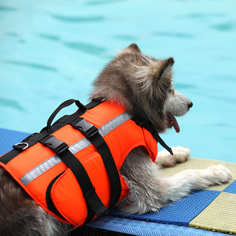 Big And Small Dog Life-Saving Clothes, Pet Cool Clothes, Safe Cooling Swimming Suit - Image 4