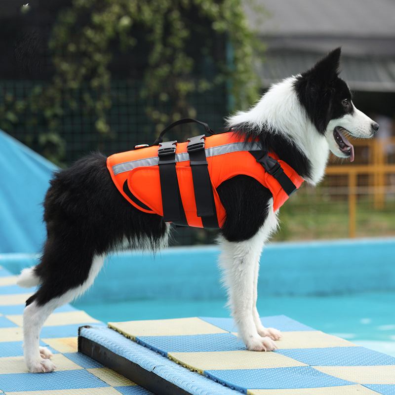Big And Small Dog Life-Saving Clothes, Pet Cool Clothes, Safe Cooling Swimming Suit - Image 2