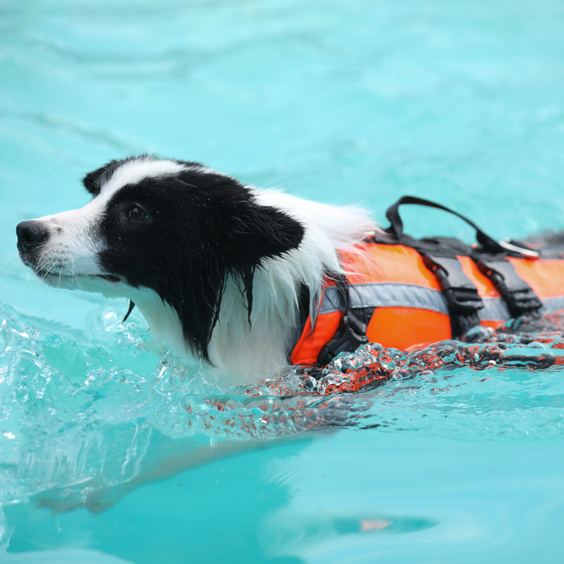 Big And Small Dog Life-Saving Clothes, Pet Cool Clothes, Safe Cooling Swimming Suit - Image 5
