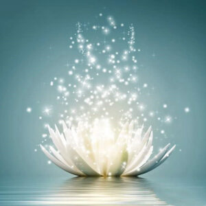 Water Lotus Theme Diamond Painting