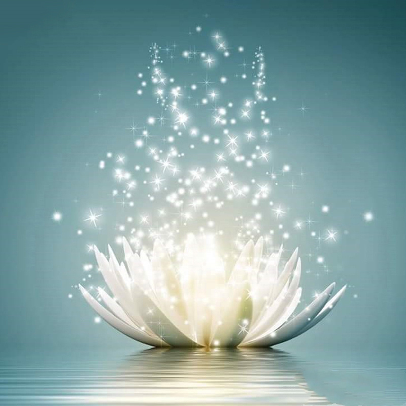 Water Lotus Theme Diamond Painting