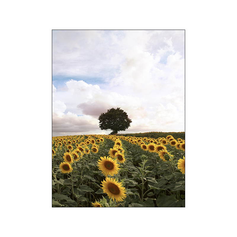 Home Minimalist Decorative Canvas Landscape Poster - Image 9