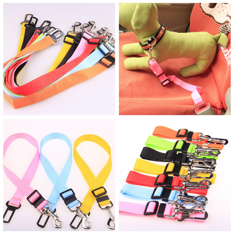 Fixed Strap Polyester Dog Strap Dog Leash Dog Leash - Image 9