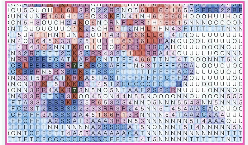 XXL 5D Diamond Painting - Tijger - Image 4