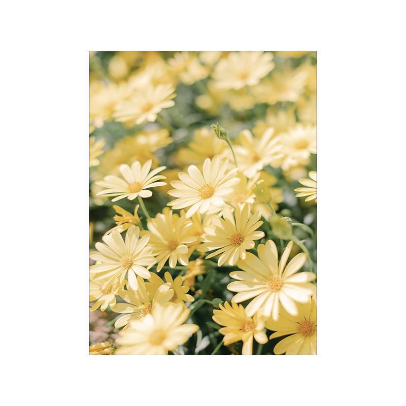 Home Minimalist Decorative Canvas Landscape Poster - Image 2