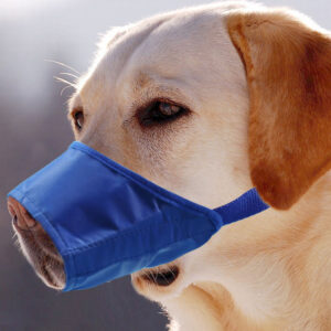 Anti-bite Anti-miseating Dog Mouth Cover Waterproof Bark Stopper