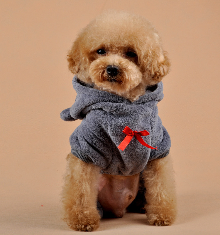 Bear four-legged coral fleece clothes - Image 2
