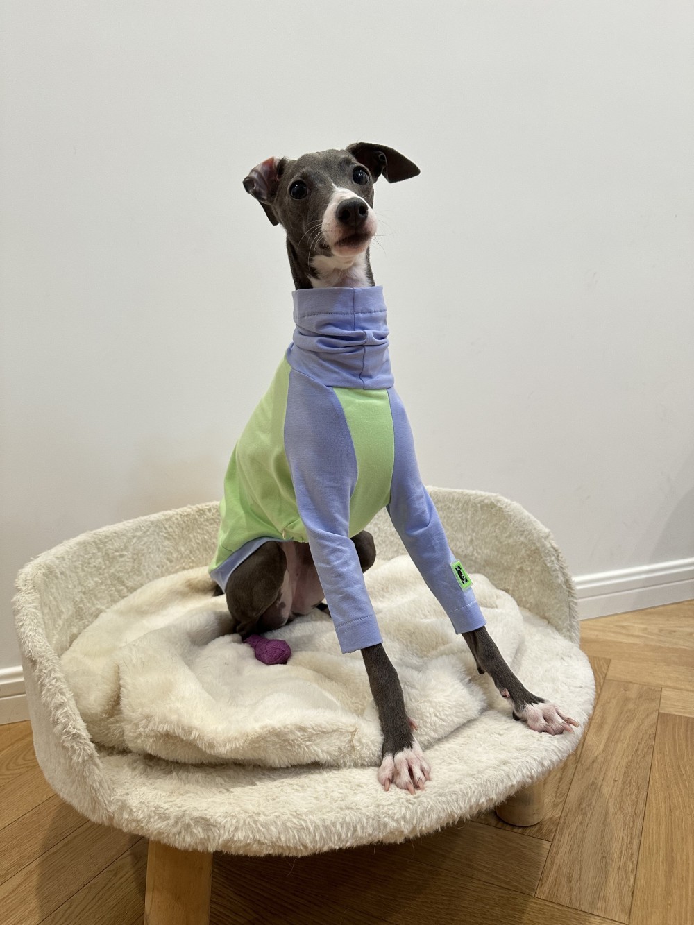 Color Matching Cotton T-shirt Vest Linton Terrier Clothes - Image 4