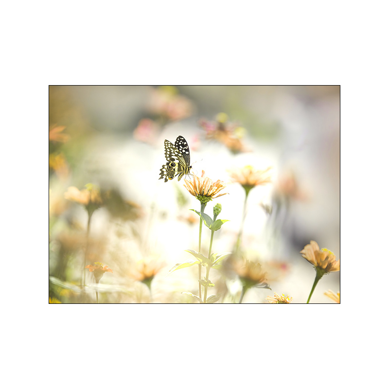 Home Minimalist Decorative Canvas Landscape Poster - Image 5