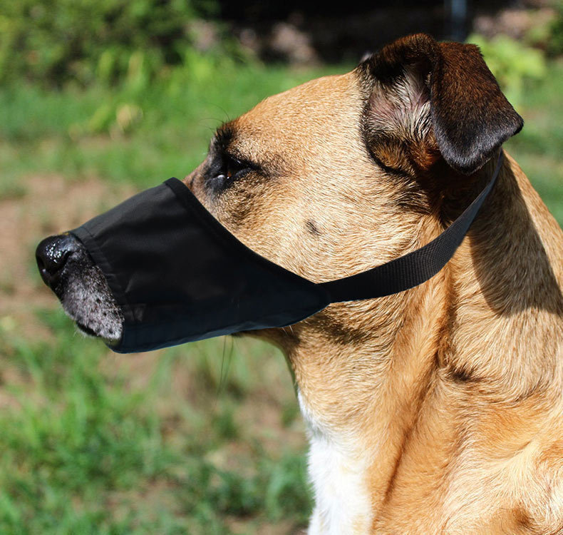 Anti-bite Anti-miseating Dog Mouth Cover Waterproof Bark Stopper - Image 5