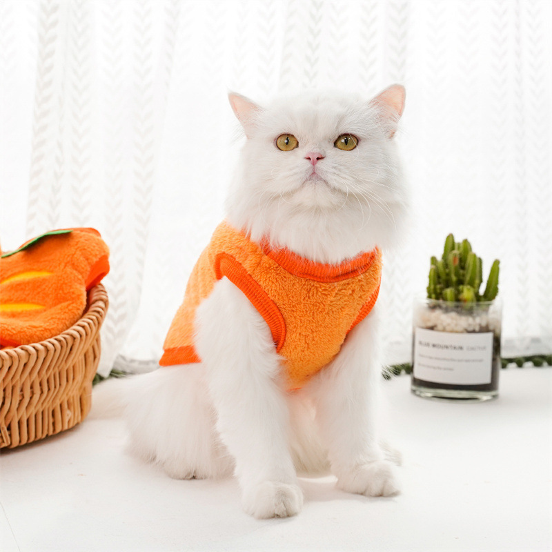 Pet Dog Winter Warm Carrot Clothes - Image 9
