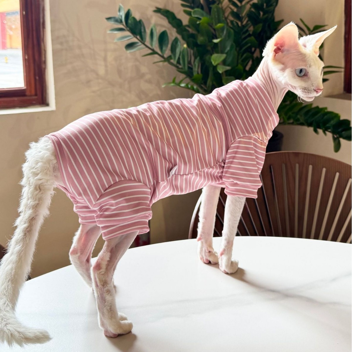 Pet Cool Thin Breathable Cat Four-legged Clothing - Image 5