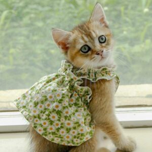 Pet Fashion Spring And Summer Strap Dress