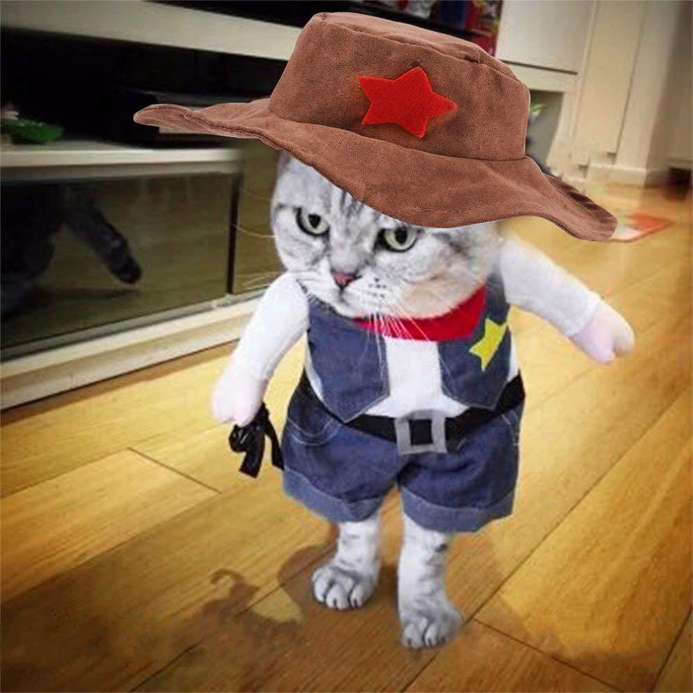 Pet denim costume - Image 7