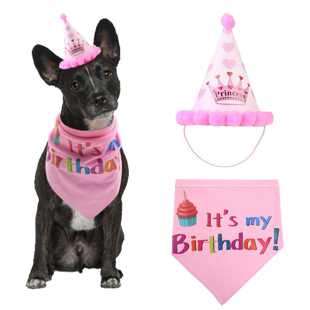 Dog birthday hat pet hat - Image 2