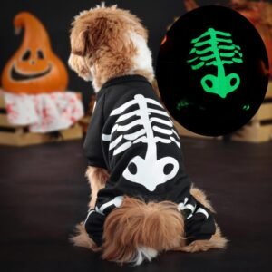 Halloween With Luminous Skull Bones Four-legged Pet Clothing Pet Clothes