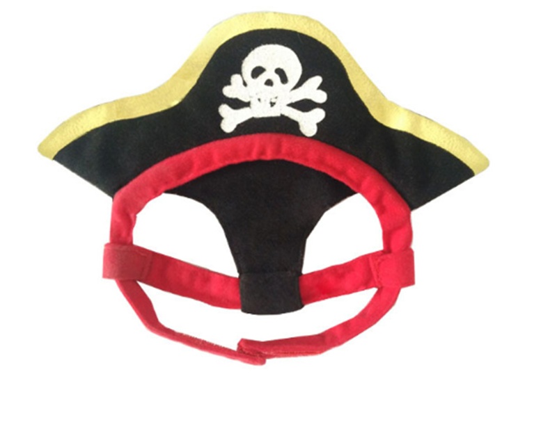 Teddy Pirate Transformed Into Pet Costume - Image 2