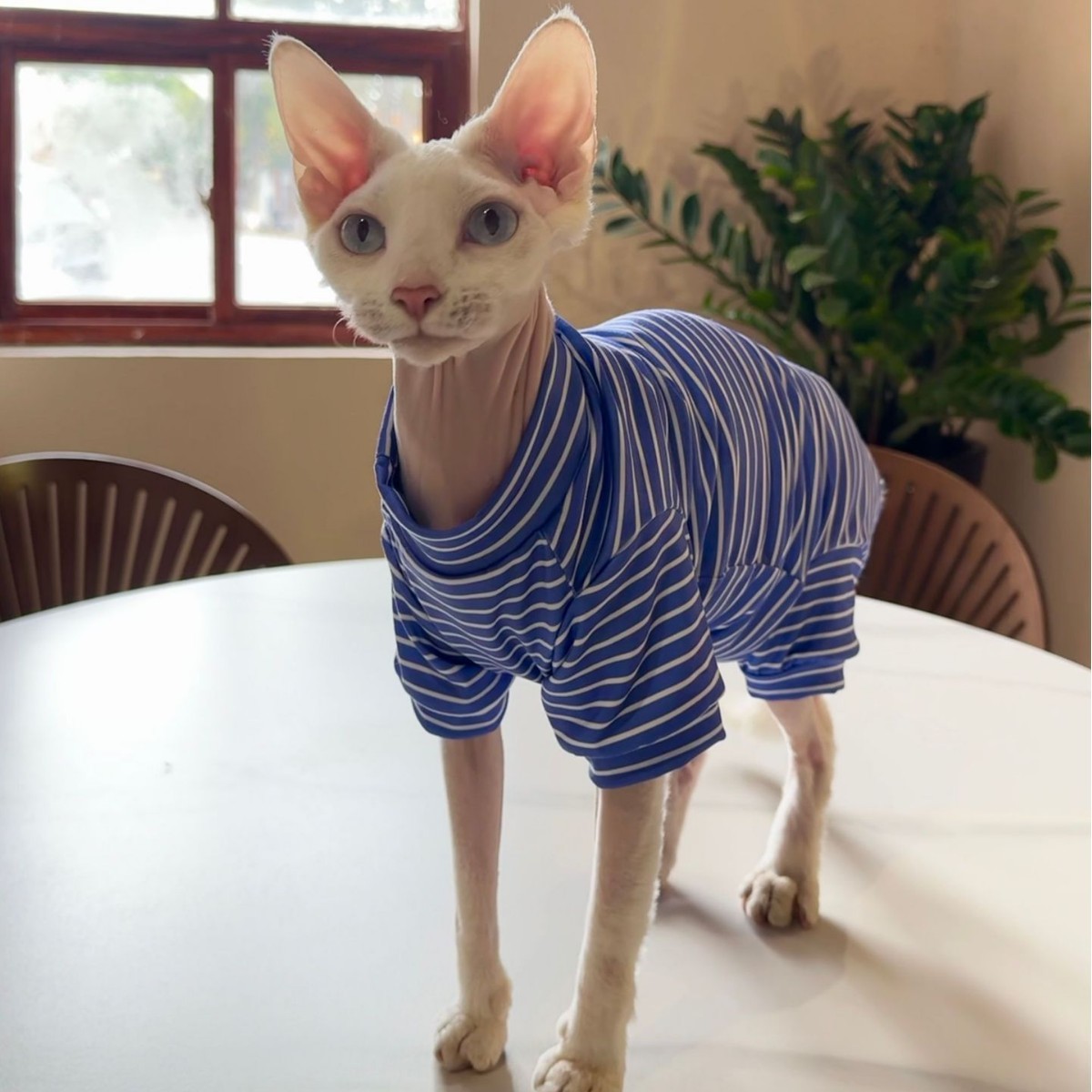 Pet Cool Thin Breathable Cat Four-legged Clothing - Image 4