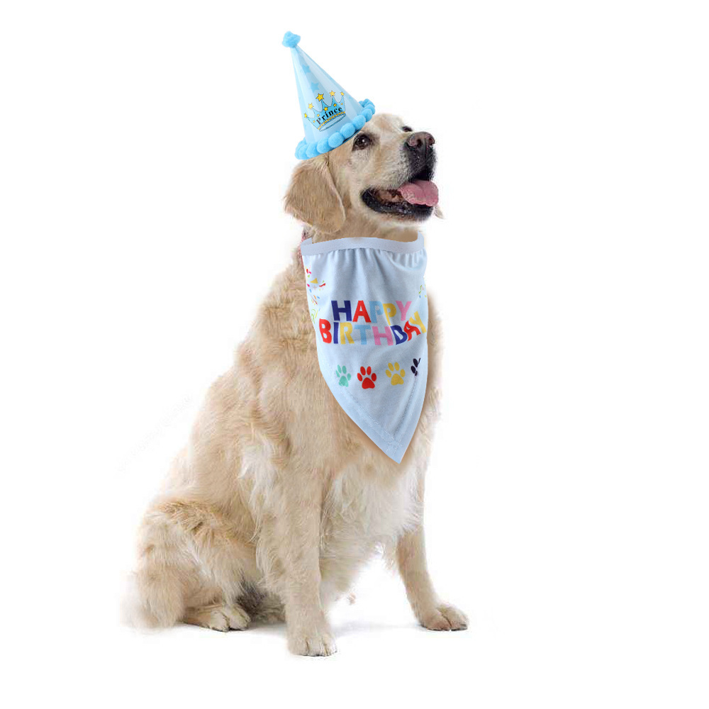 Dog birthday hat pet hat - Image 6