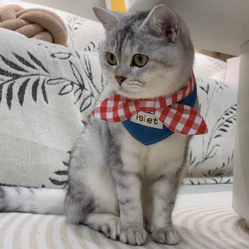 Cat Ins Scarf Saliva Pet Cute Bow - Image 3