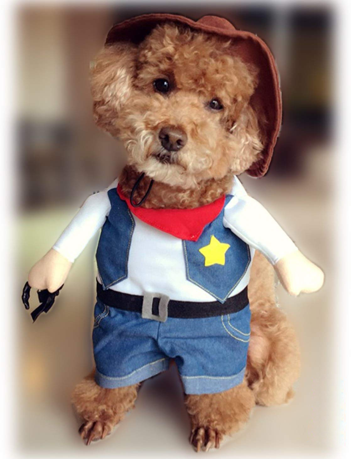 Pet denim costume - Image 4