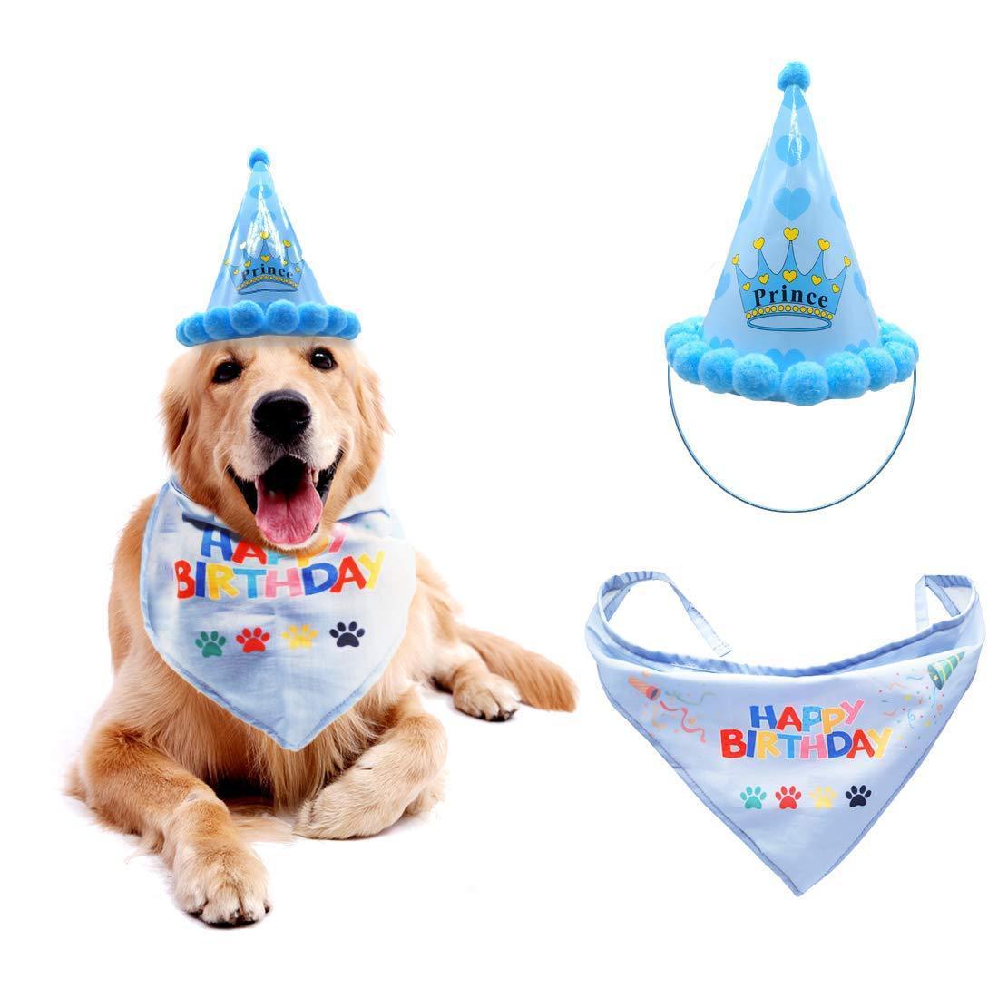 Dog birthday hat pet hat - Image 3