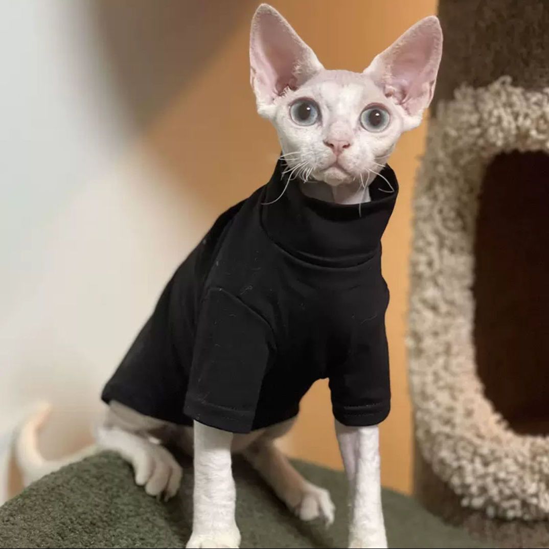 Dralon Self-heating Hairless Cat Clothes Autumn And Winter Base Hoodie - Image 3