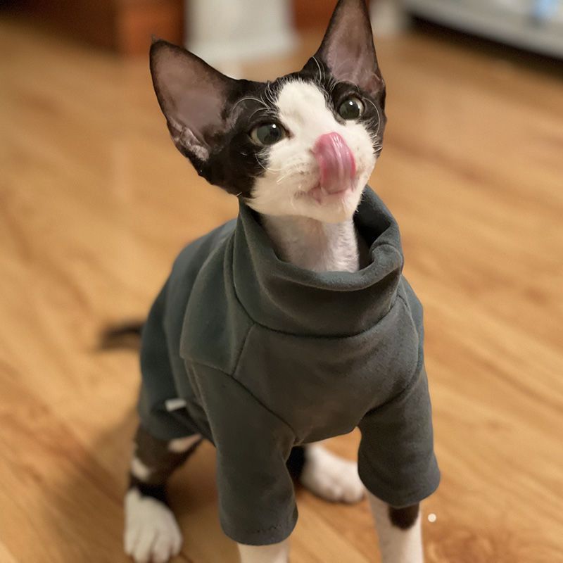 Dralon Self-heating Hairless Cat Clothes Autumn And Winter Base Hoodie - Image 2