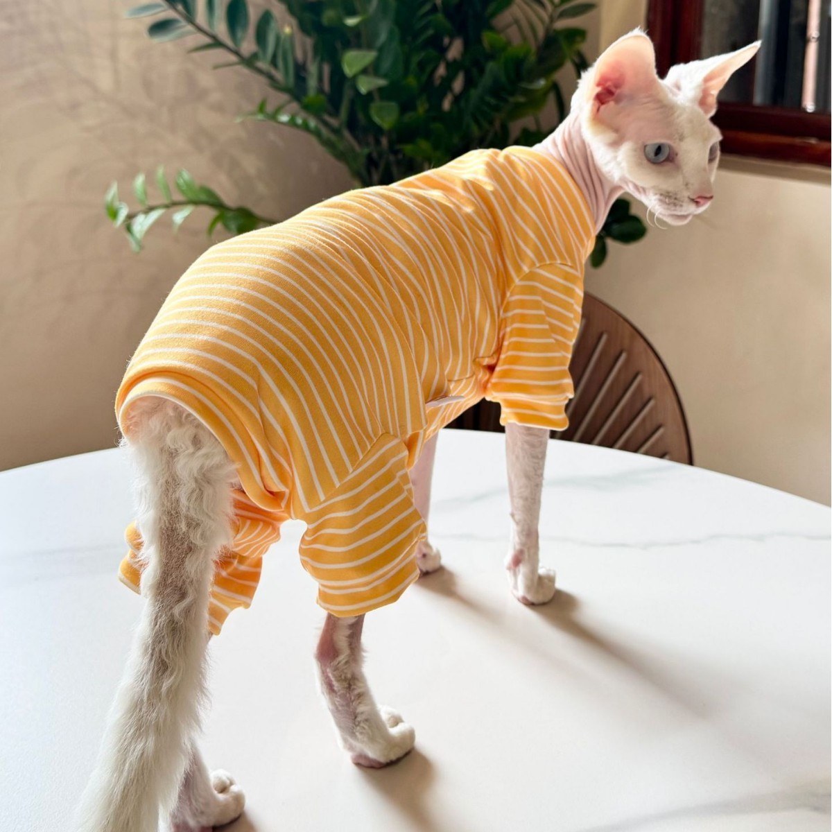 Pet Cool Thin Breathable Cat Four-legged Clothing - Image 3