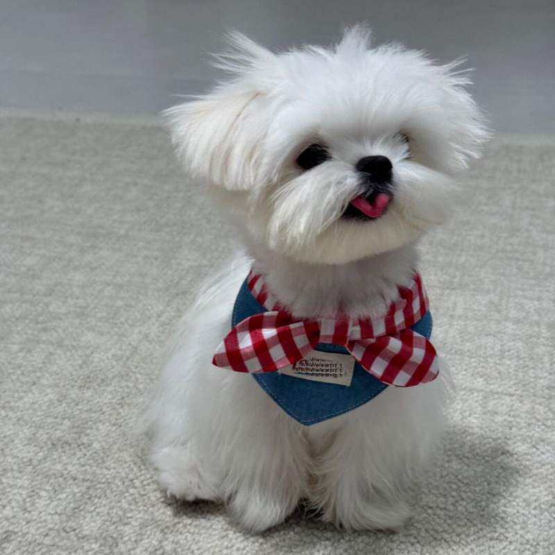 Cat Ins Scarf Saliva Pet Cute Bow - Image 2