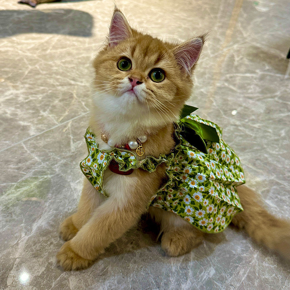 Pet Fashion Spring And Summer Strap Dress - Image 7