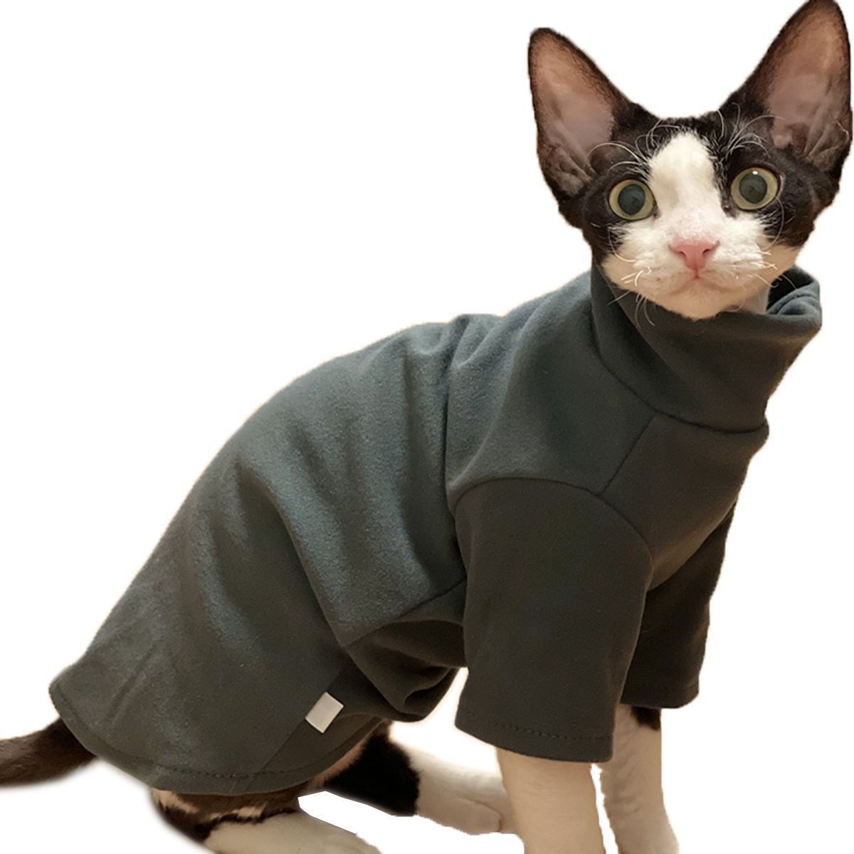 Dralon Self-heating Hairless Cat Clothes Autumn And Winter Base Hoodie - Image 4