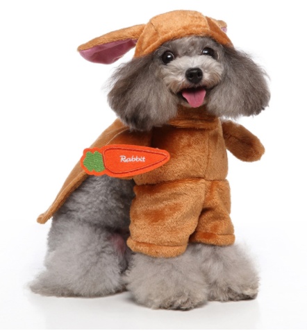 Cosplay Pet Supplies Standing Outfit Funny Dog Clothes Upright Outfit Halloween Christmas Dress Up Pet Outfit - Image 5